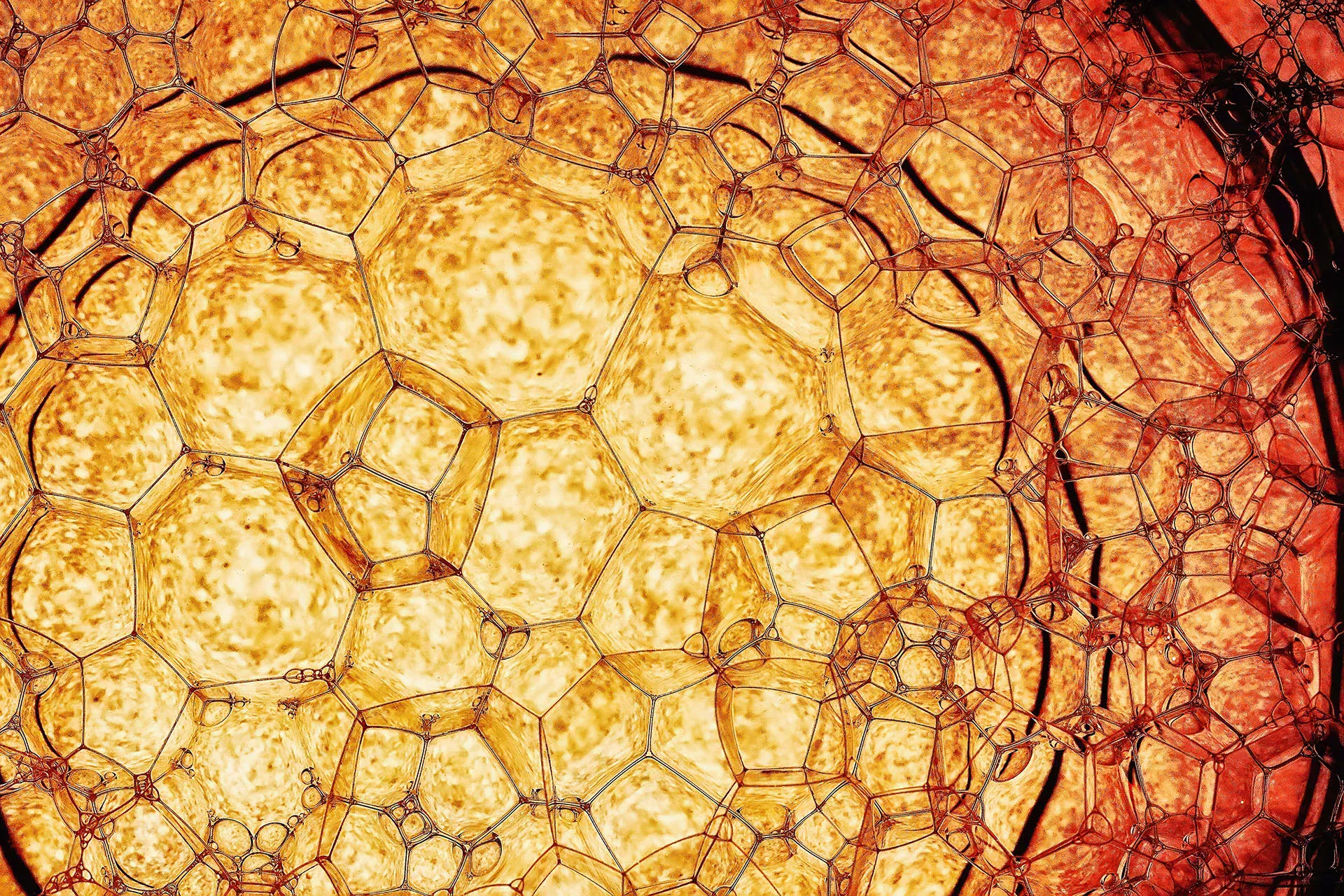 Primer plano de aceite lubricante amarillo