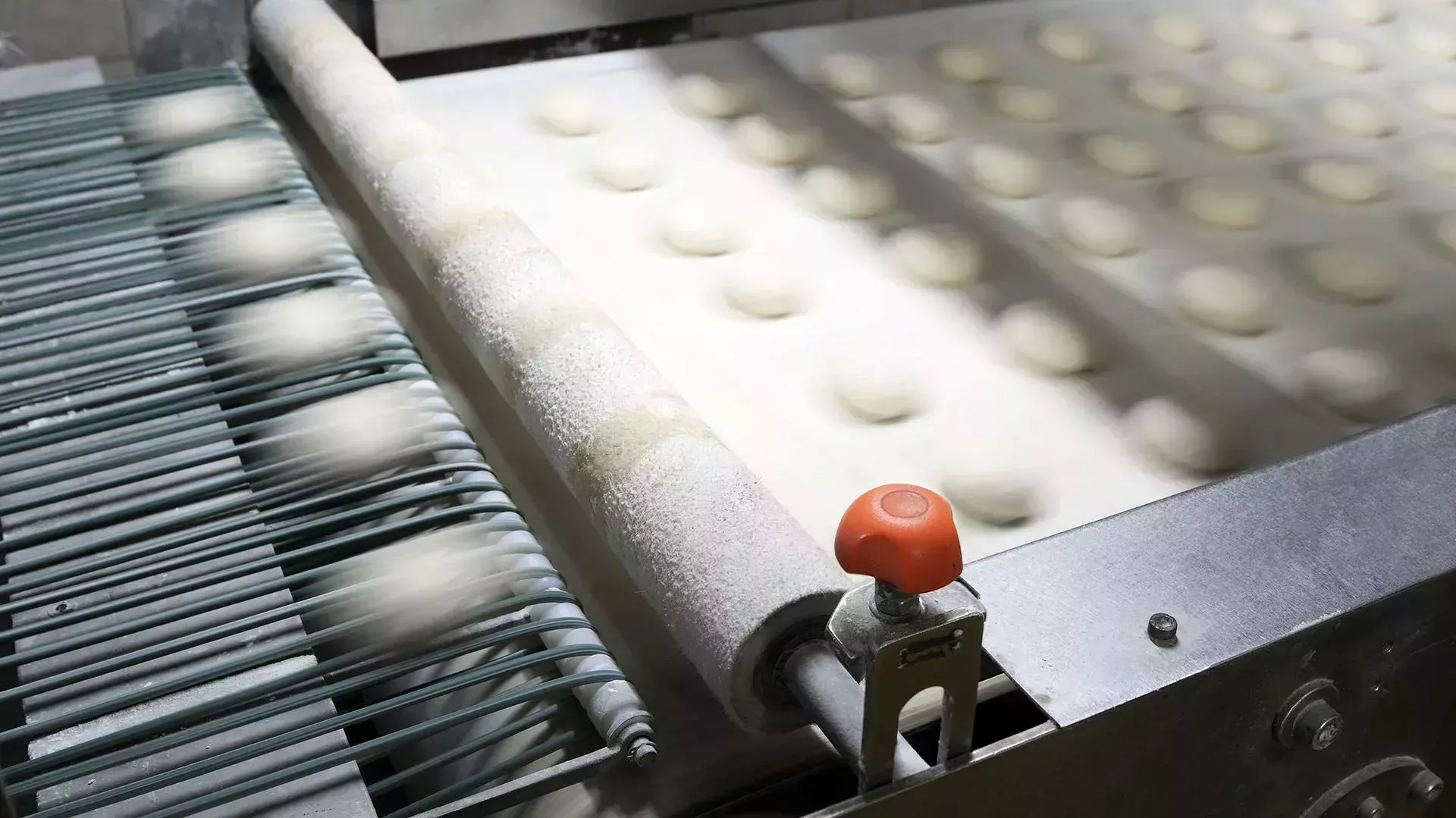 Línea de montaje rápido de panecillos