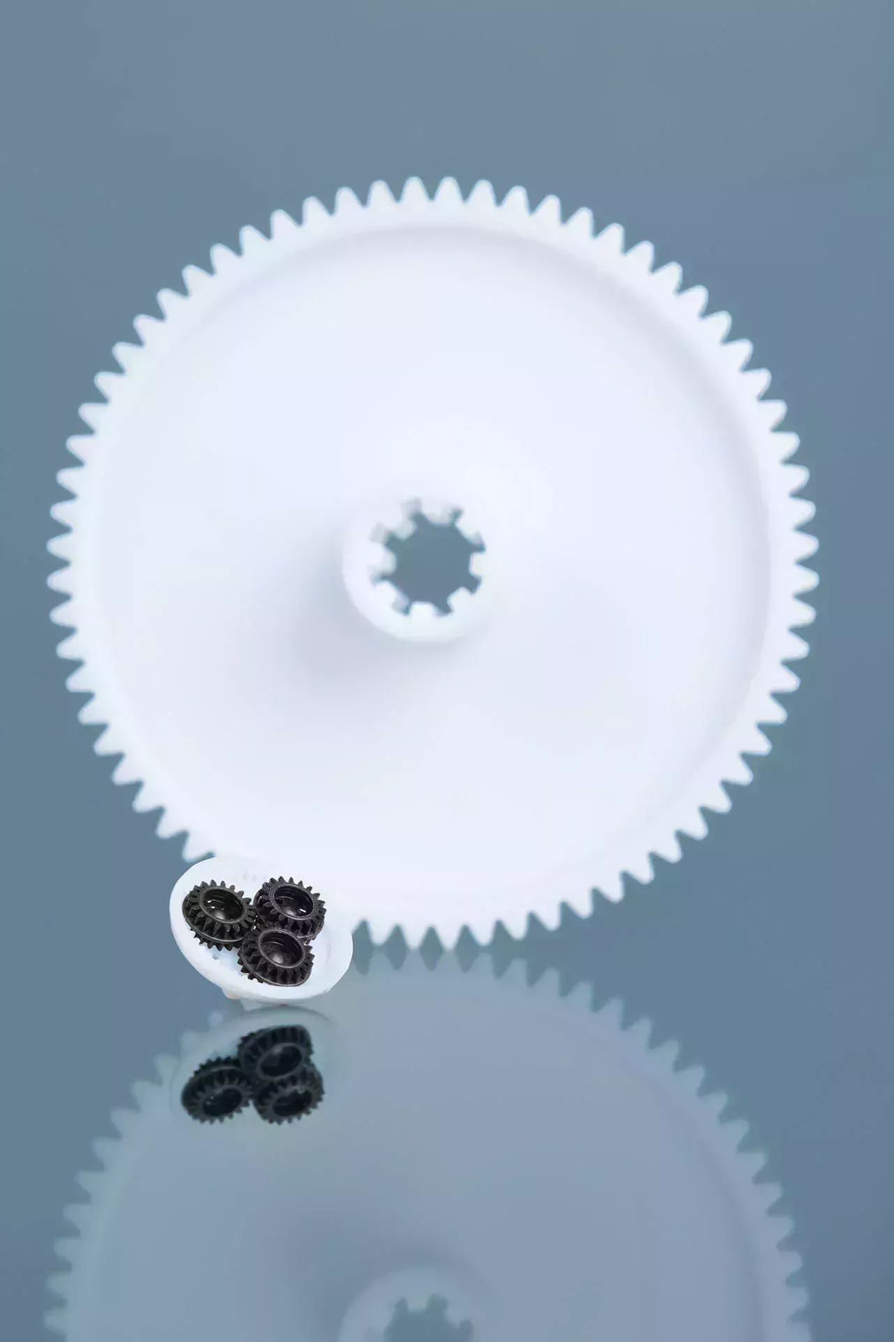 Rueda dentada blanca