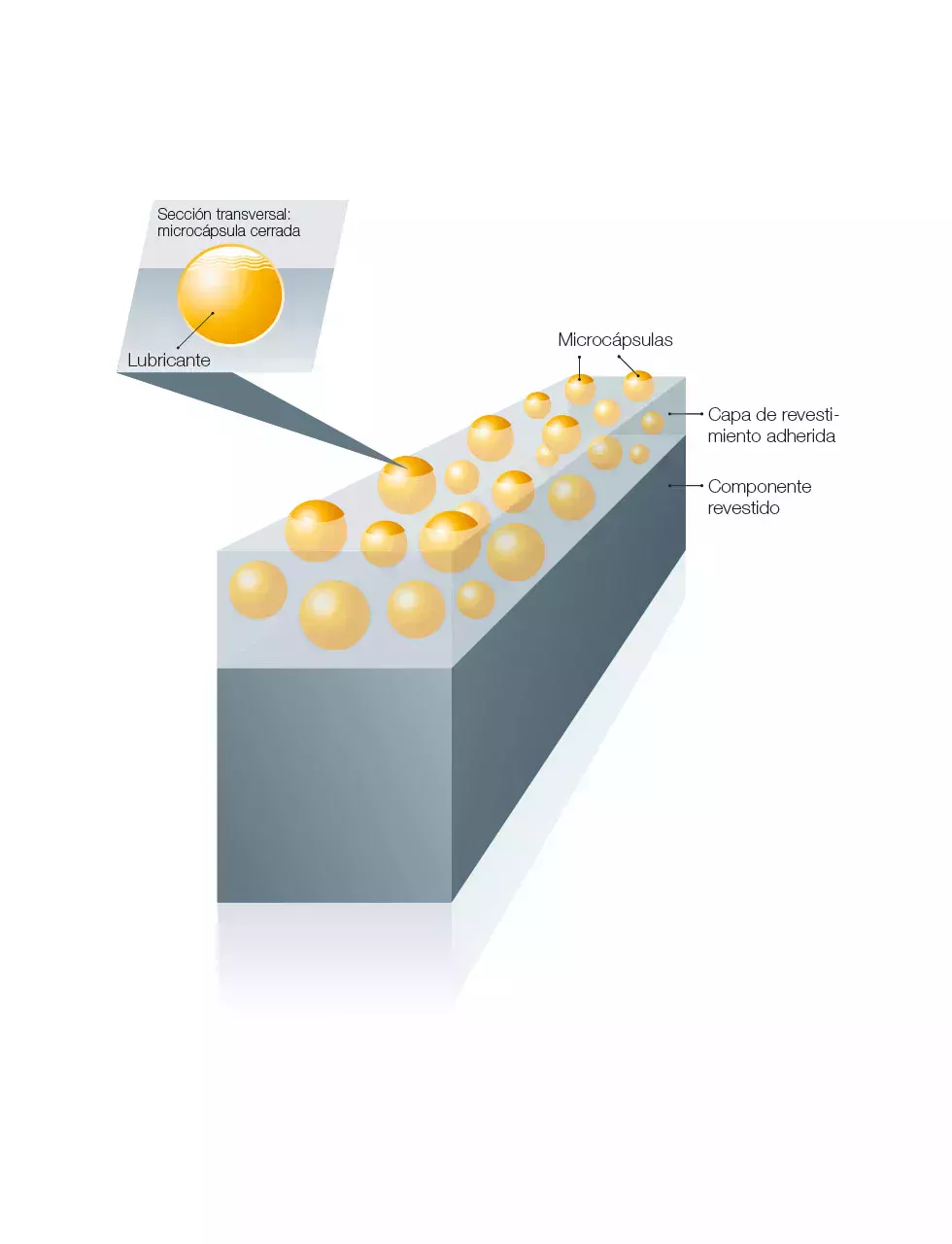 Detalle del componente revestido con Berucoat MC