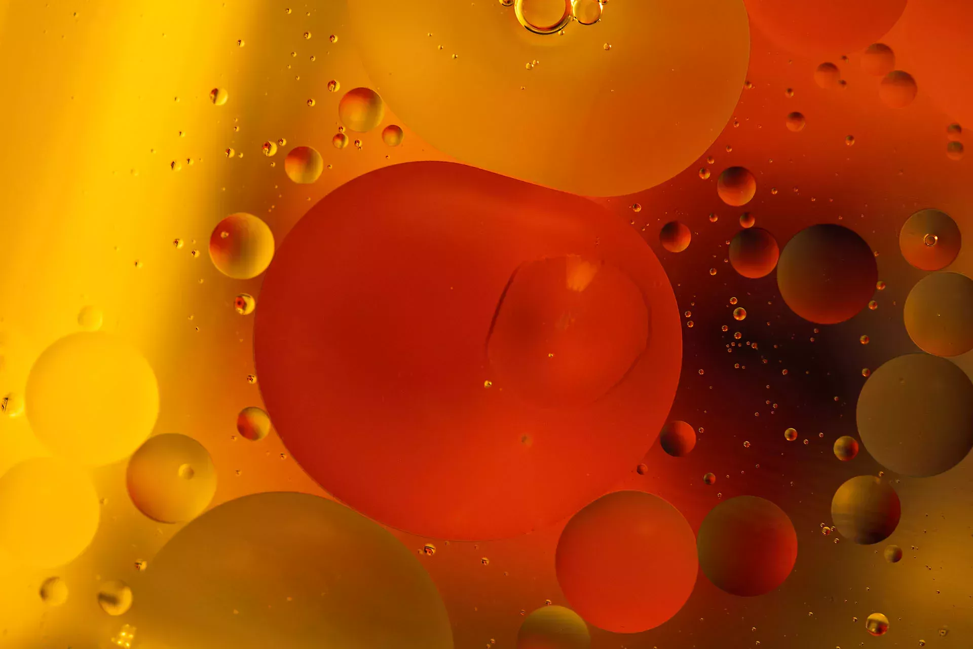 Capó abierto de un coche