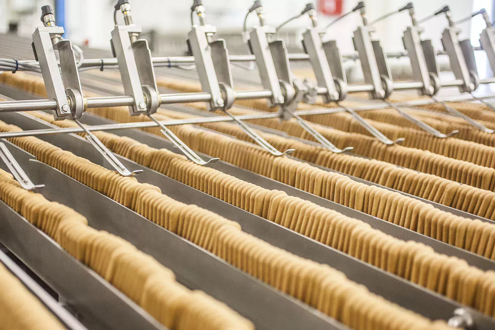 Producción de galletas