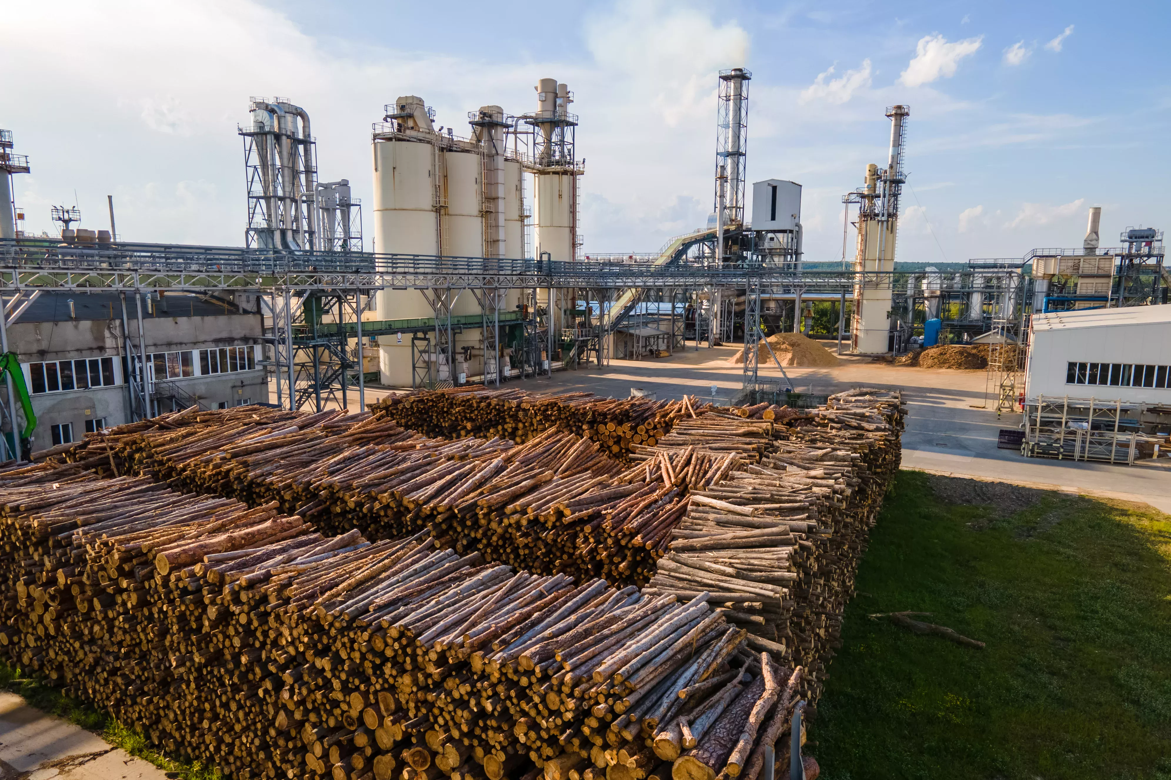 Los troncos de los árboles se apilan unos sobre otros